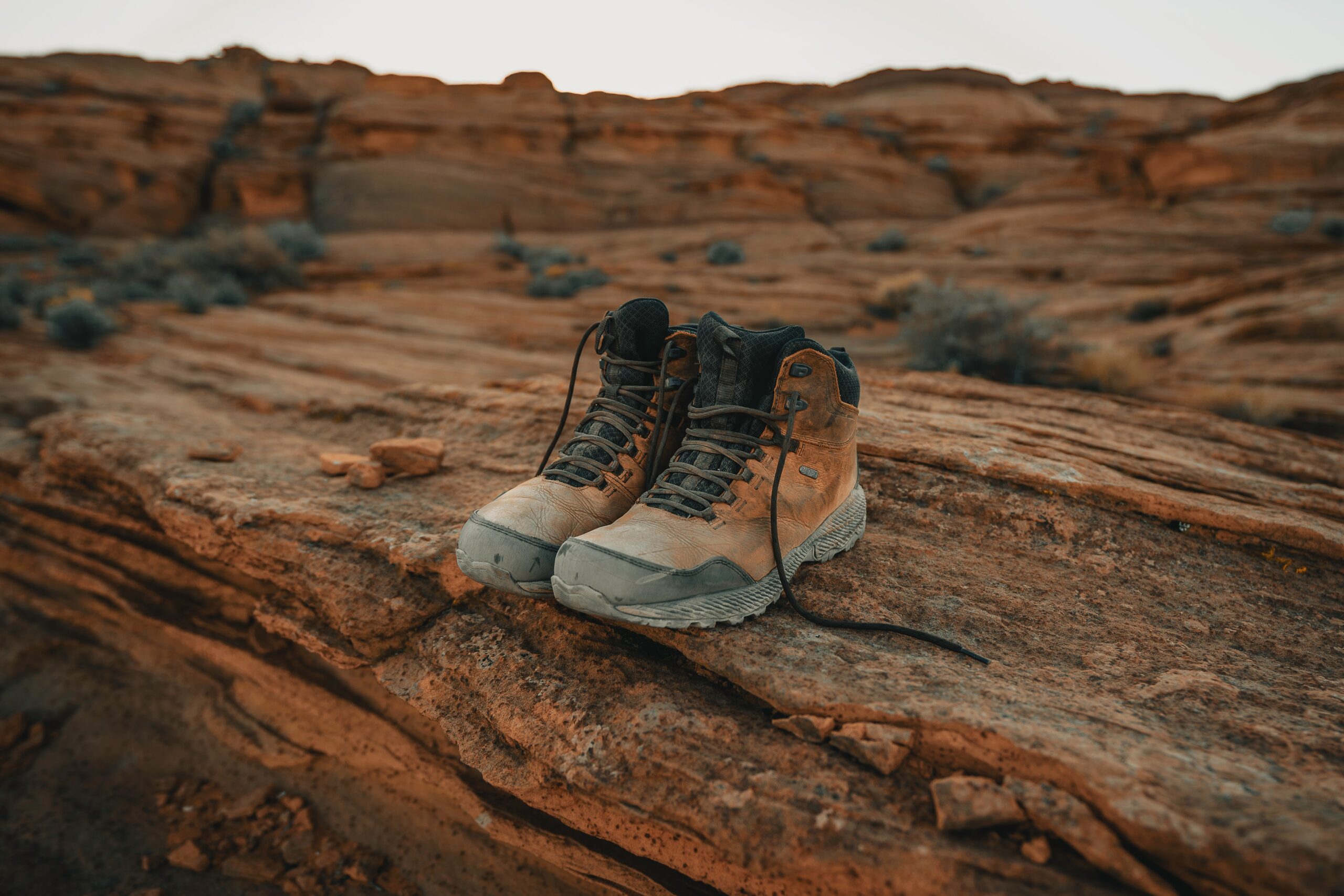 clay-banks-BSL837tTPAw-unsplash