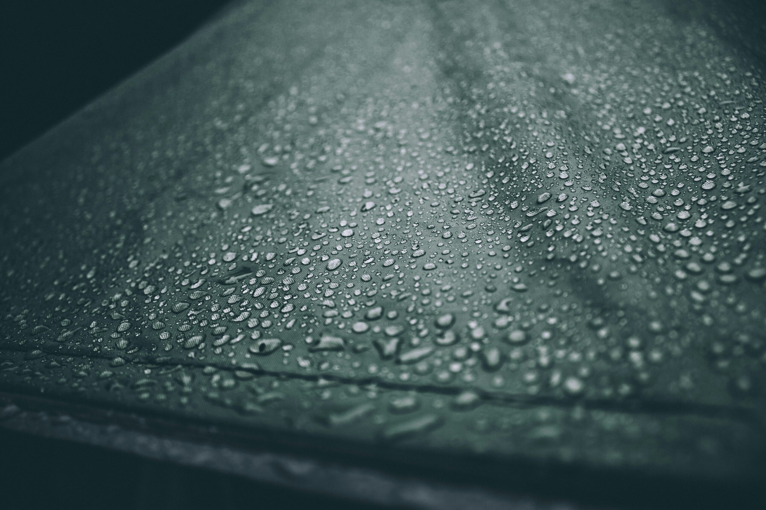 frame-harirak-zNyubxRIf4I-unsplash