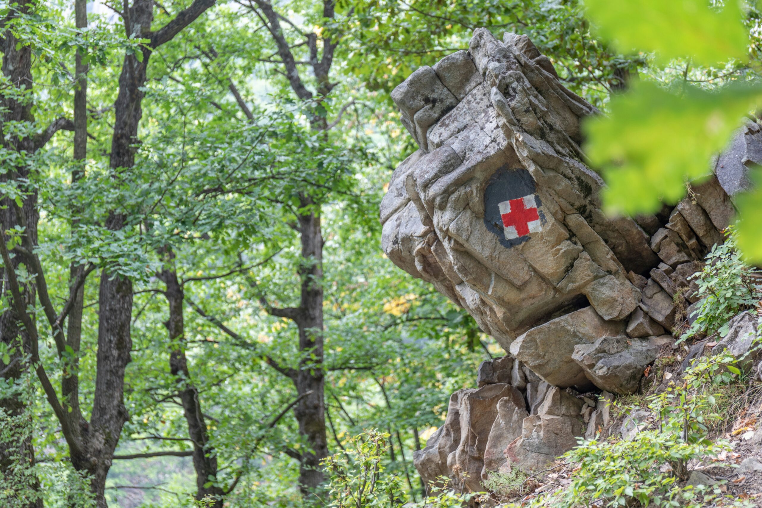 harald-muller-pzfzflaFjAw-unsplash harald-muller