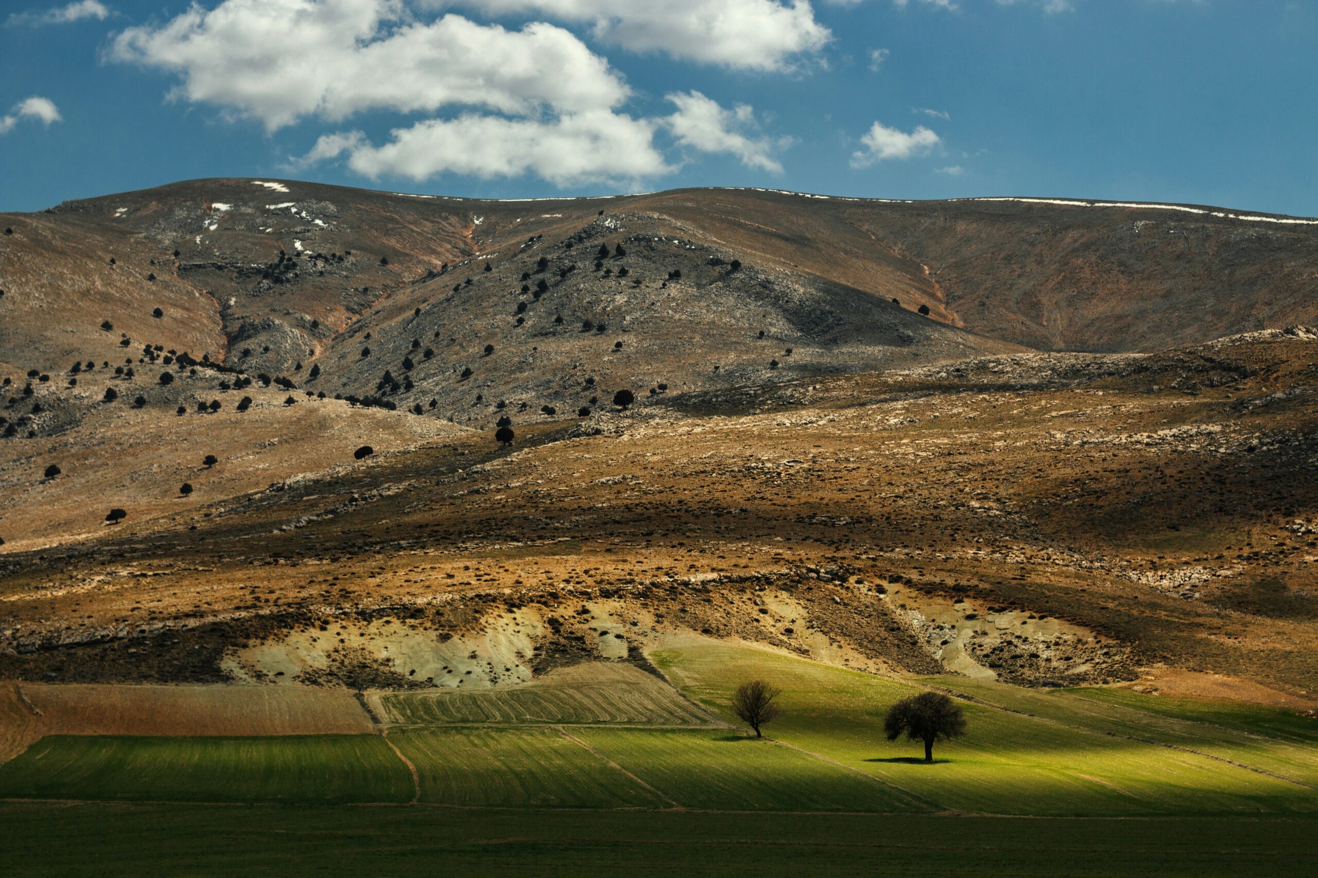 nadiia-ploshchenko-dqoVAGUT6pM-unsplash